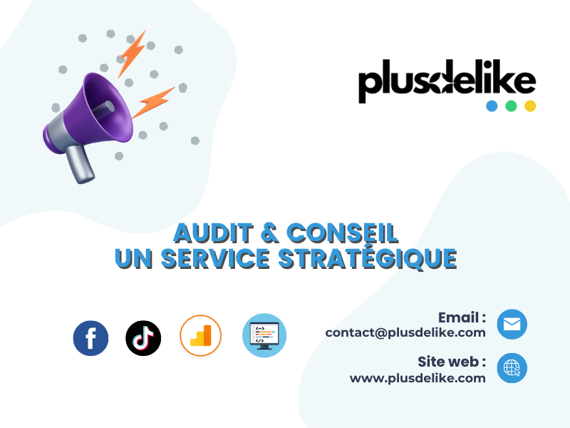 Audit et Conseil