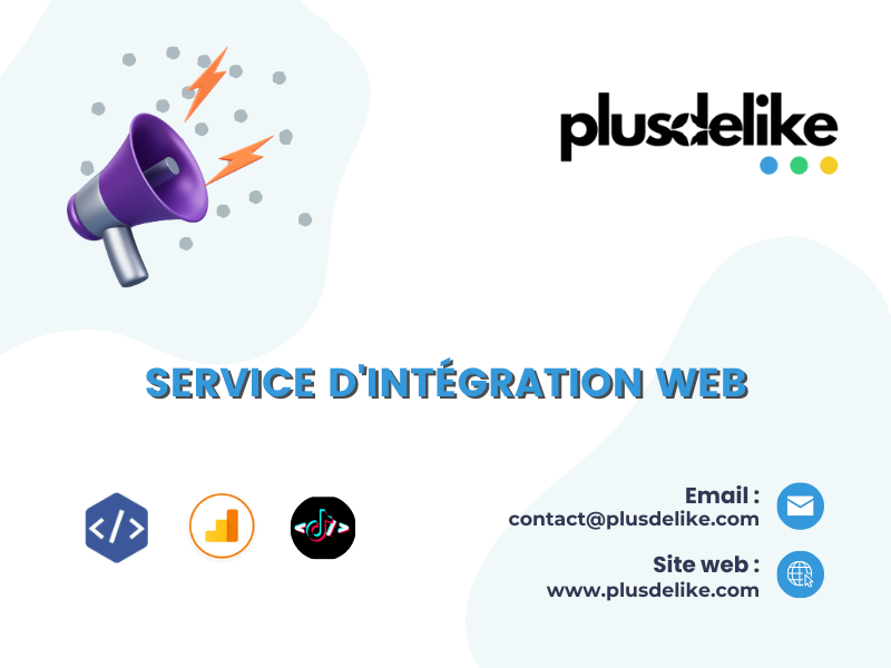 Service Intégration Web